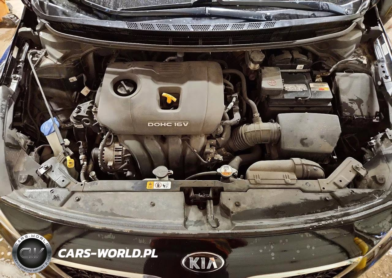 2017 Kia Forte S VIN:3KPFL4A76HE111949 - 11