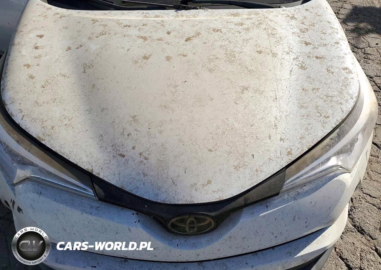 2019 Toyota C-Hr Xle VIN:JTNKHMBX7K1043794 - 11