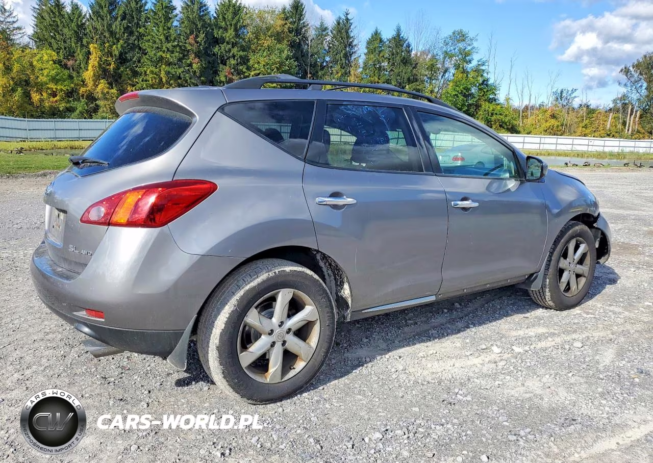 2010 Nissan Murano S VIN:JN8AZ1MW2AW124904 - 3