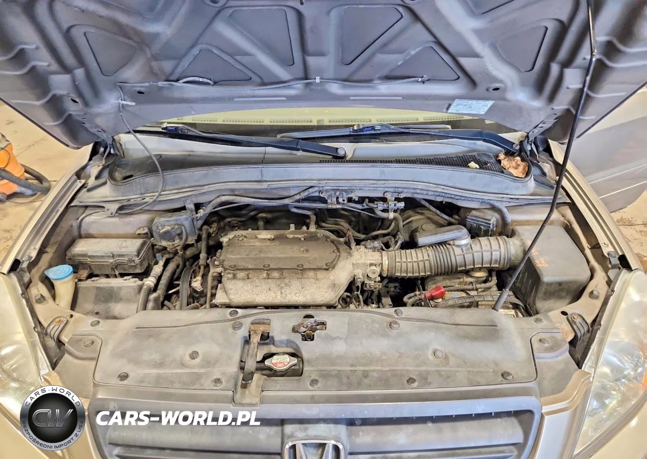 2005 Honda Pilot Exl VIN:5FNYF18525B044615 - 12