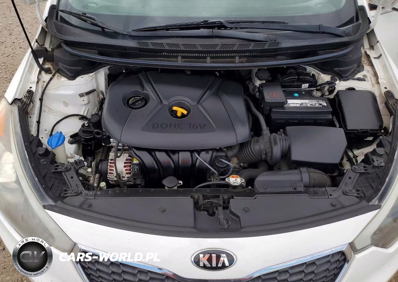 2016 Kia Forte Lx VIN:KNAFK4A68G5618160 - 11