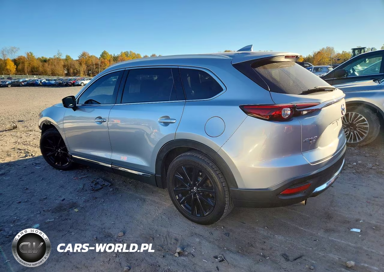 2017 Mazda Cx-9 Signature VIN:JM3TCBEY6H0128471 - 2