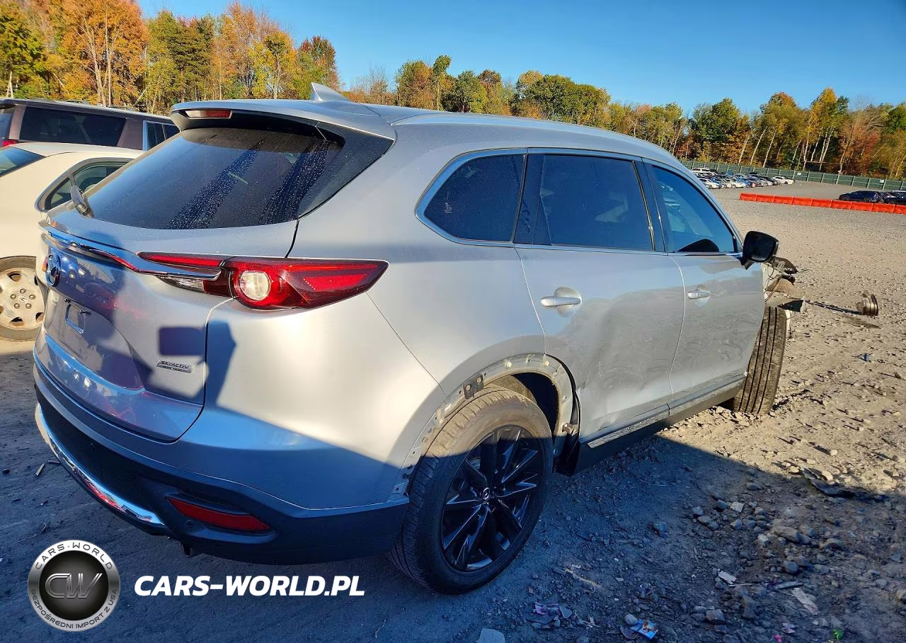 2017 Mazda Cx-9 Signature VIN:JM3TCBEY6H0128471 - 3