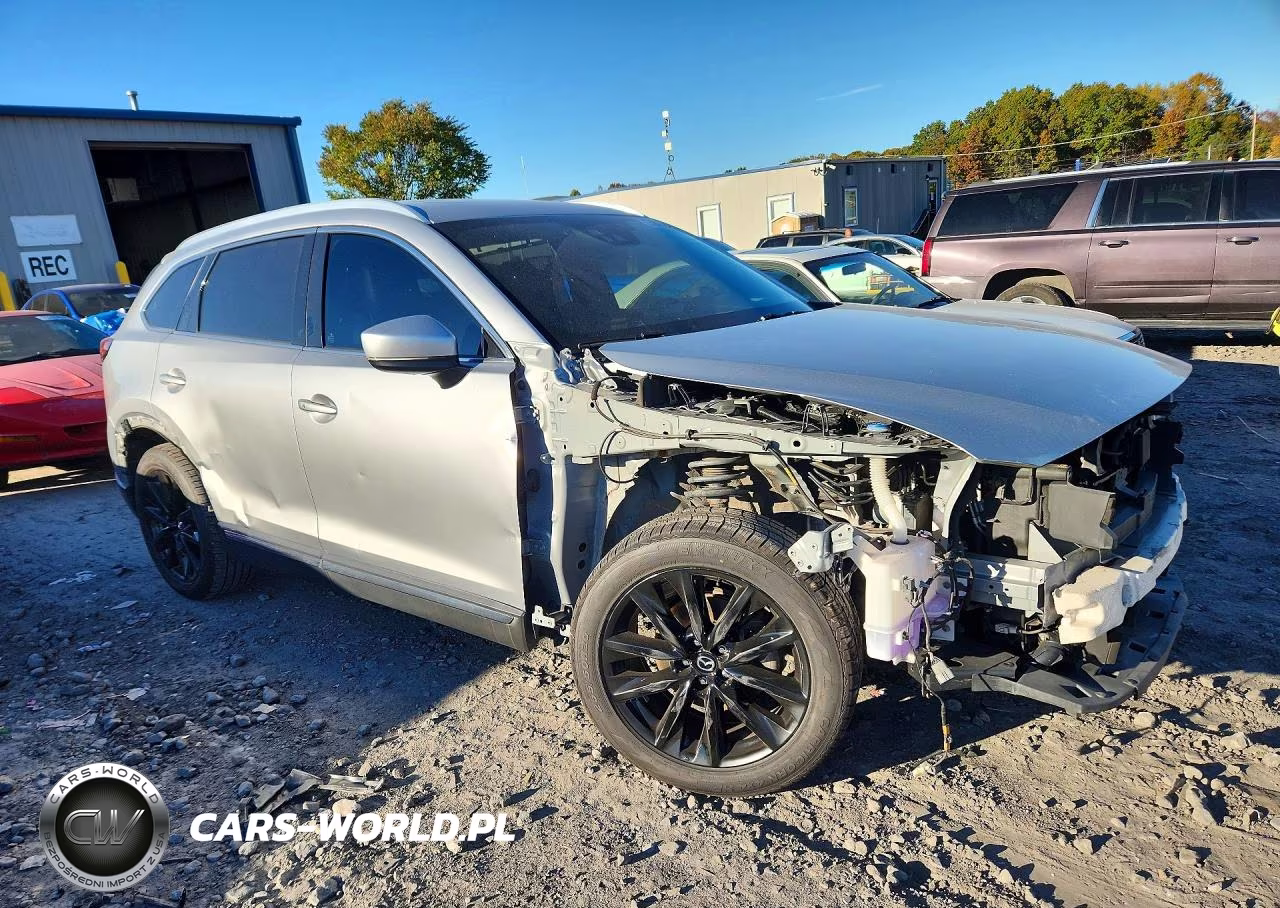 2017 Mazda Cx-9 Signature VIN:JM3TCBEY6H0128471 - 4