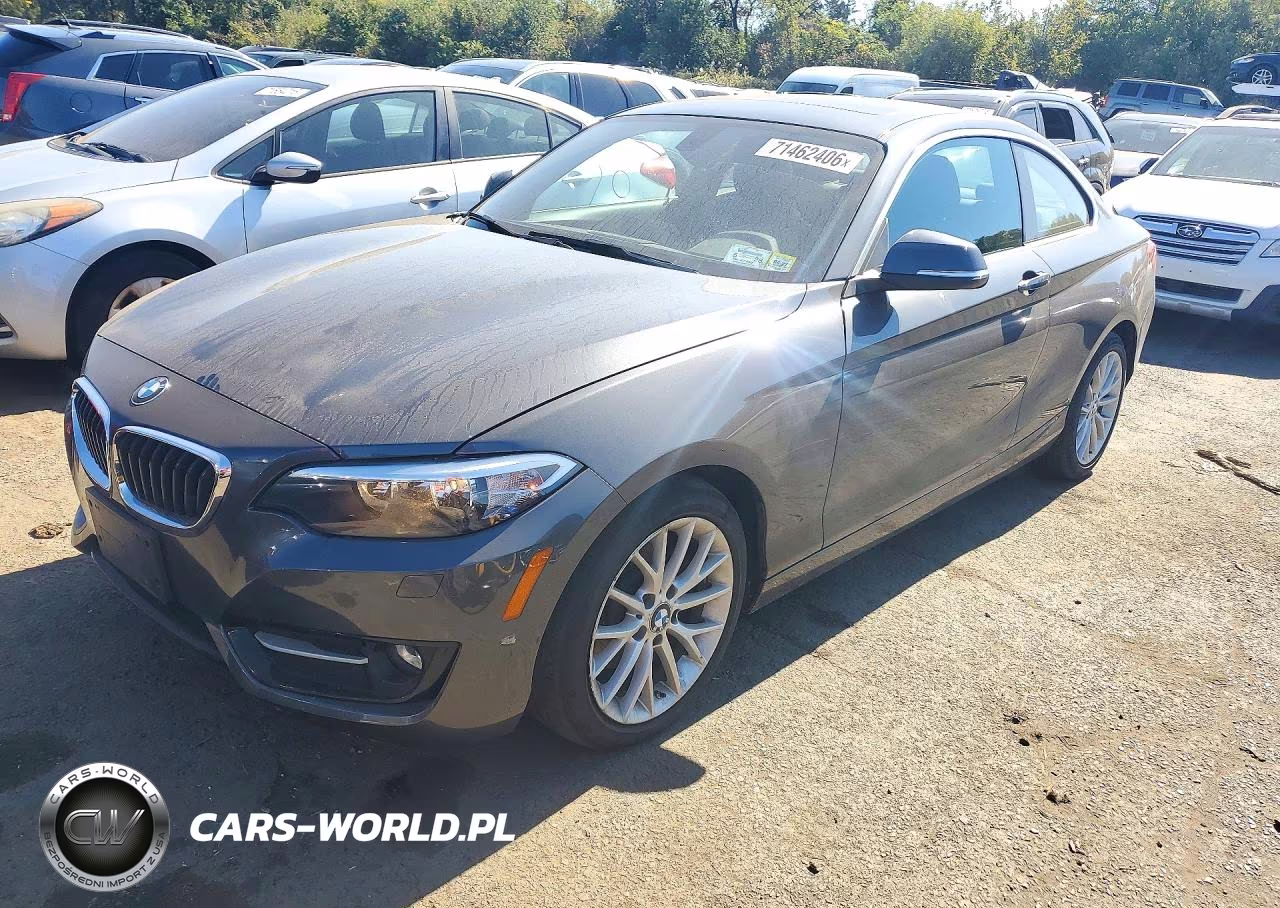 2016 BMW 228 Xi Sulev VIN:WBA1G9C56GVX96968 - 1
