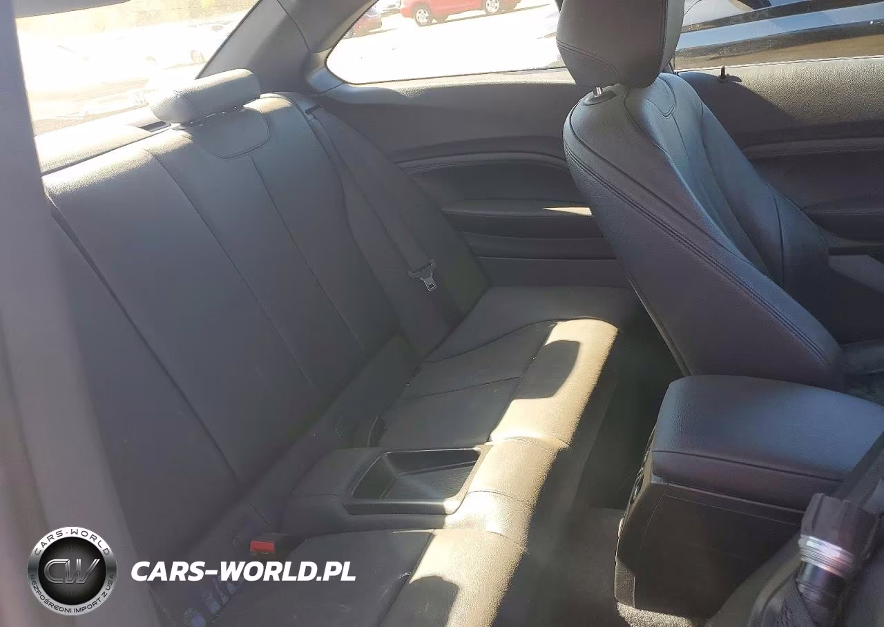 2016 BMW 228 Xi Sulev VIN:WBA1G9C56GVX96968 - 10