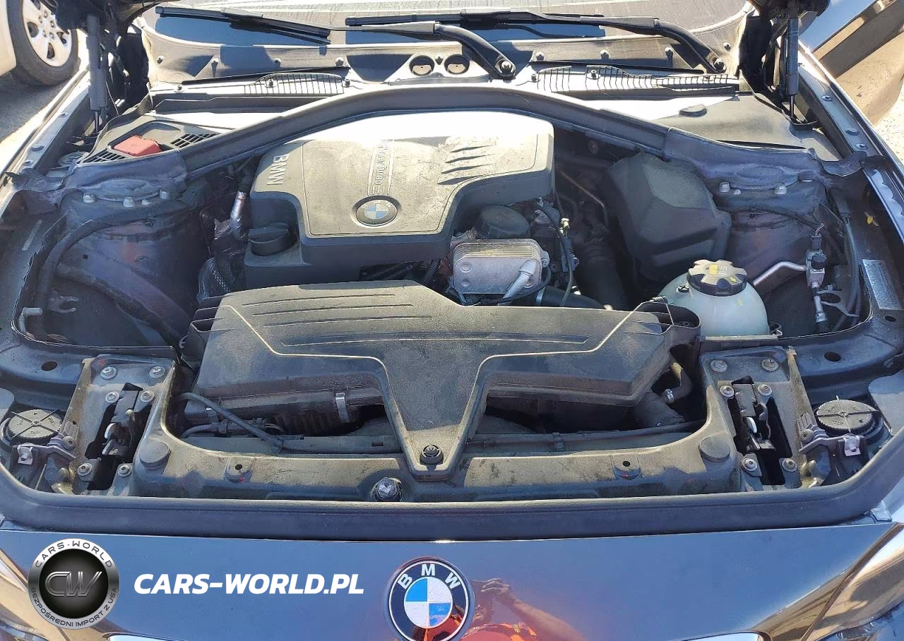 2016 BMW 228 Xi Sulev VIN:WBA1G9C56GVX96968 - 11