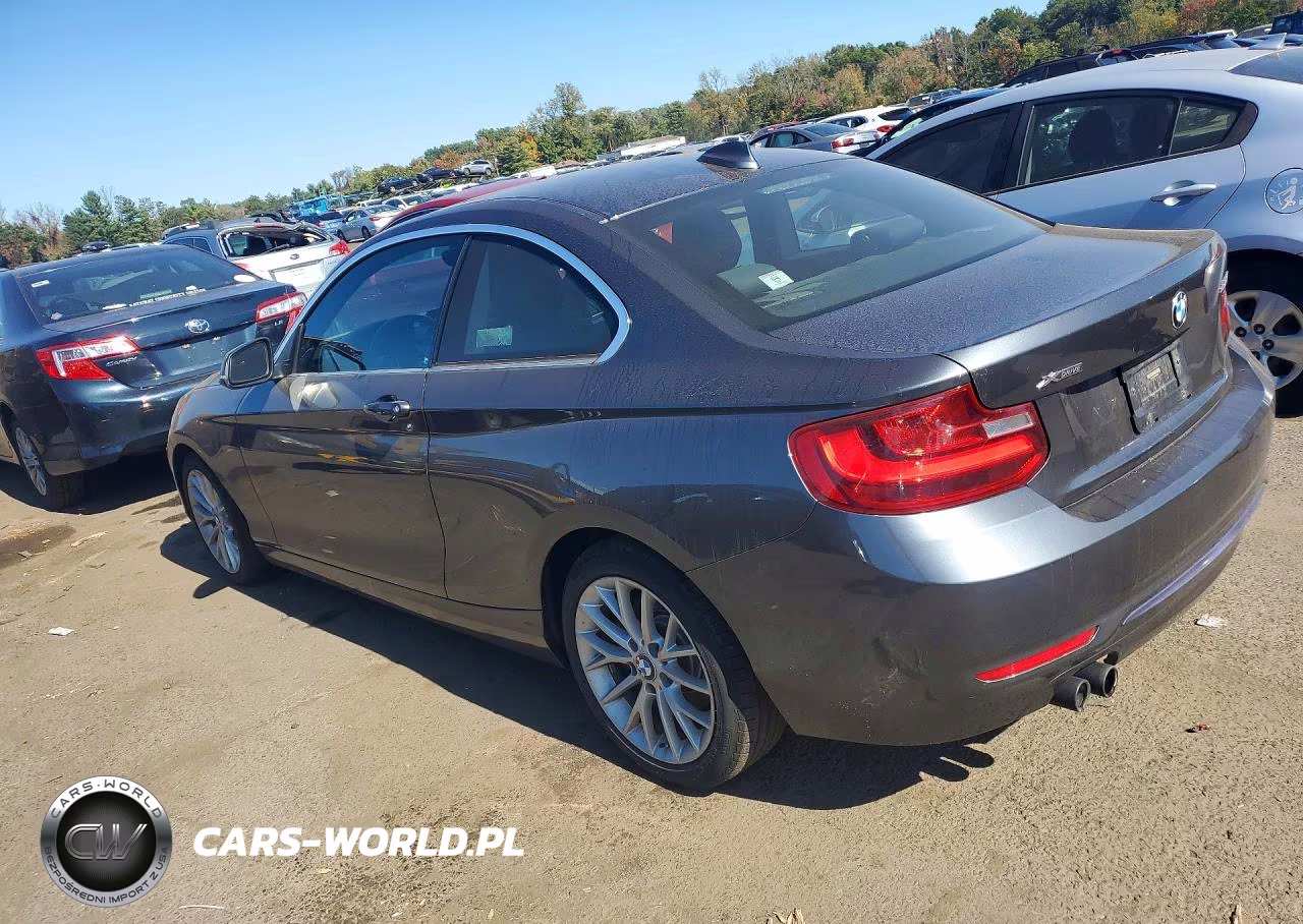 2016 BMW 228 Xi Sulev VIN:WBA1G9C56GVX96968 - 2