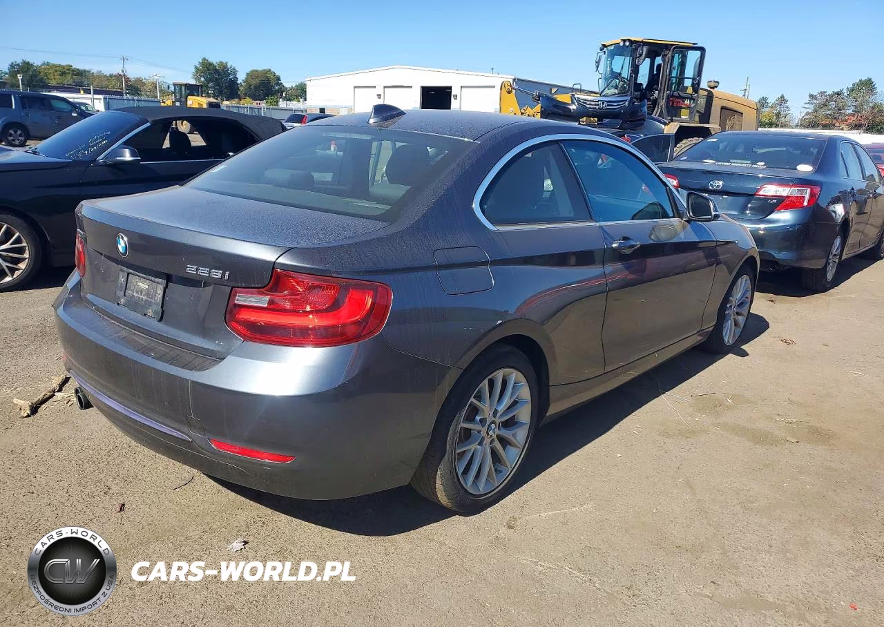 2016 BMW 228 Xi Sulev VIN:WBA1G9C56GVX96968 - 3