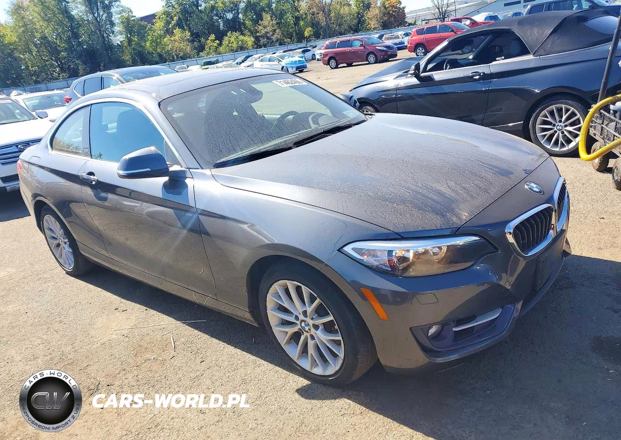 2016 BMW 228 Xi Sulev VIN:WBA1G9C56GVX96968 - 4