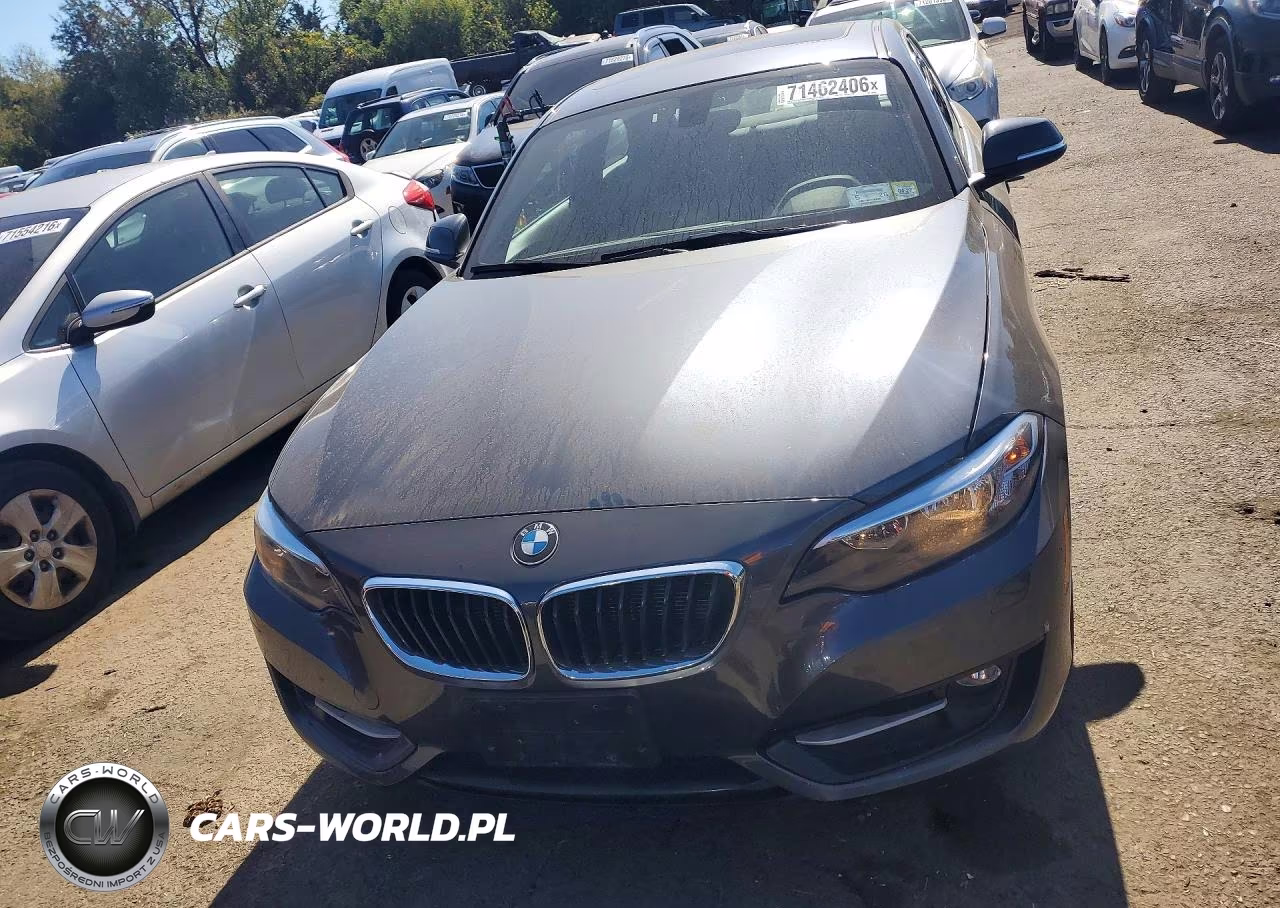 2016 BMW 228 Xi Sulev VIN:WBA1G9C56GVX96968 - 5