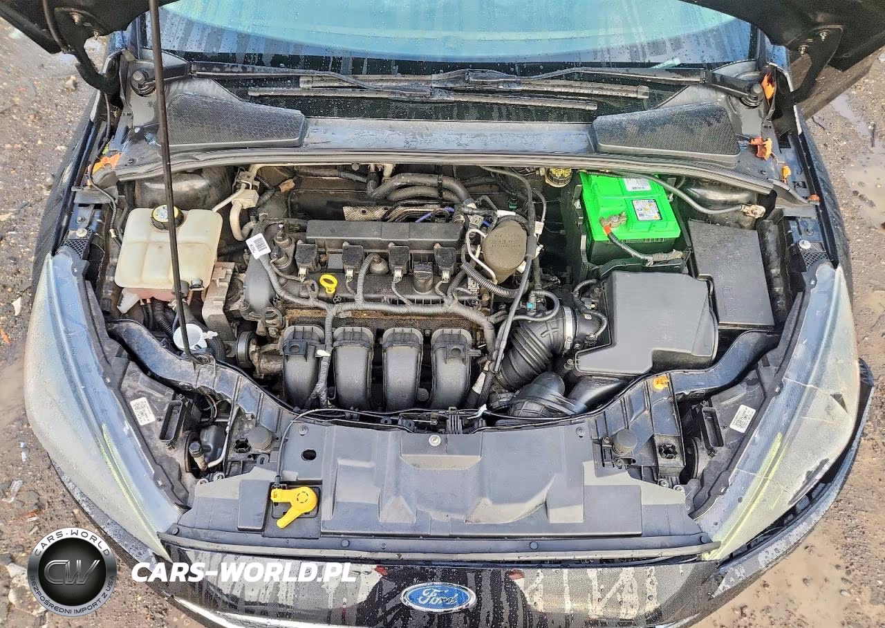 2015 Ford Focus Se VIN:1FADP3K2XFL381043 - 11