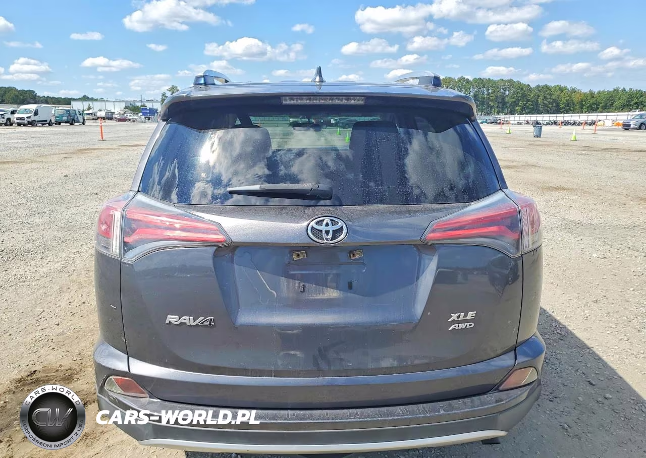 2016 Toyota Rav4 Xle VIN:JTMRFREVXGJ063285 - 6