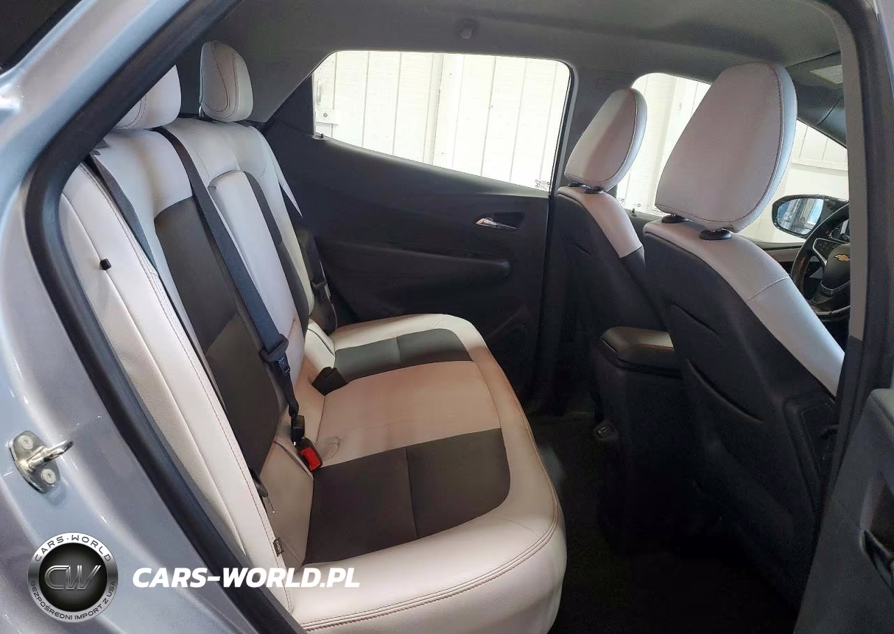 2018 Chevrolet Bolt Ev Premier VIN:1G1FX6S04J4130033 - 10
