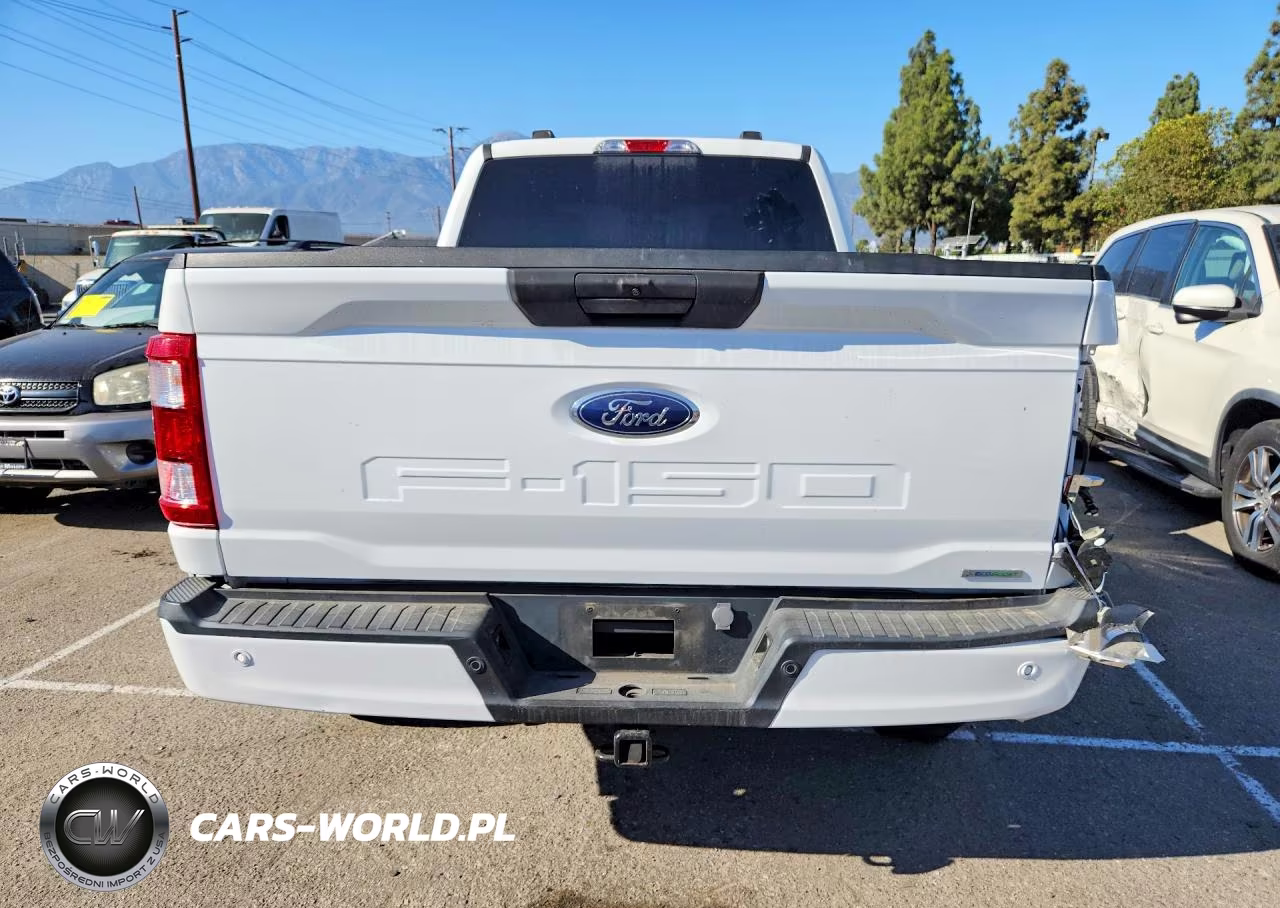 2023 Ford F150 Supercrew VIN:1FTFW1E82PFB49921 - 6