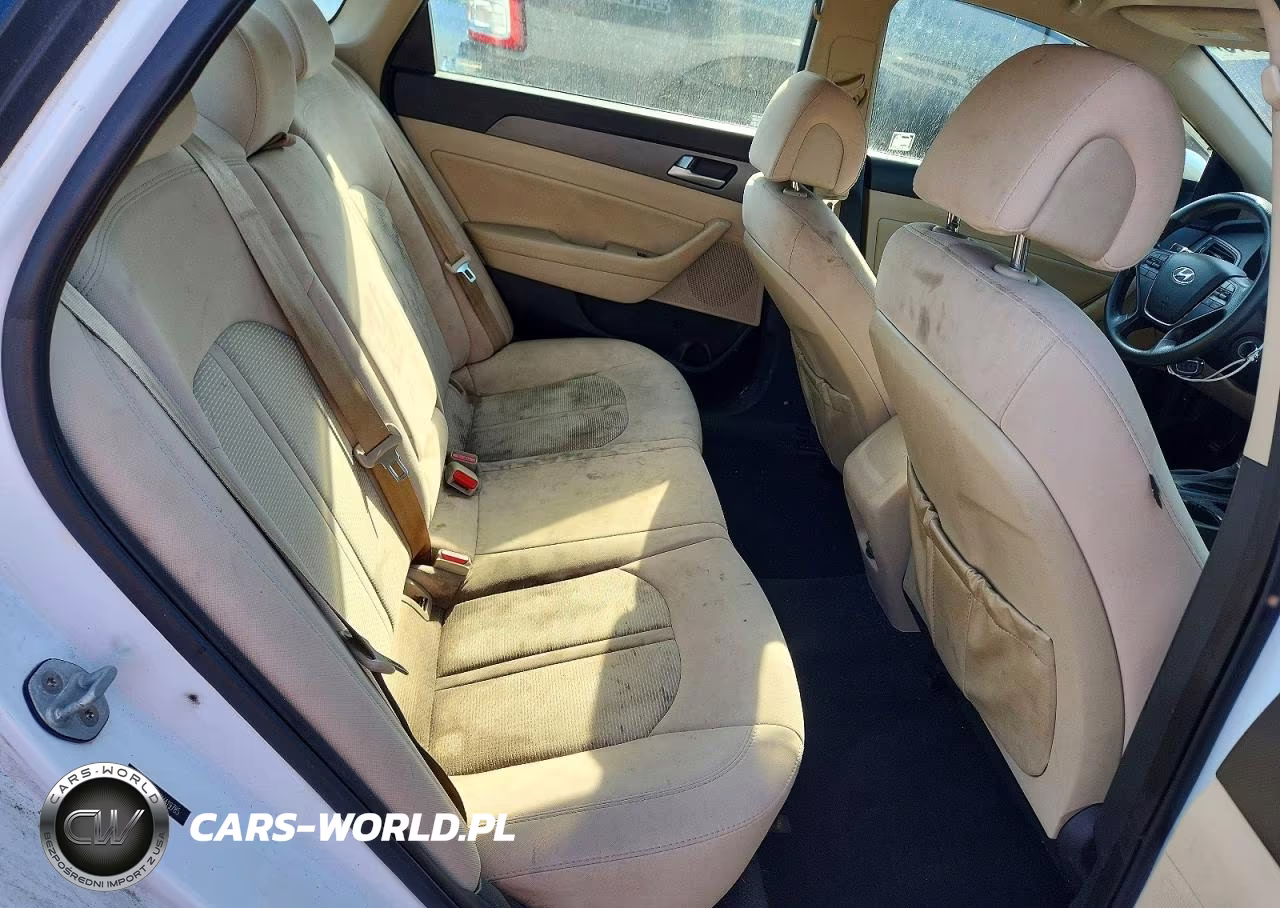 2016 Hyundai Sonata Eco VIN:5NPE24AA2GH419785 - 10