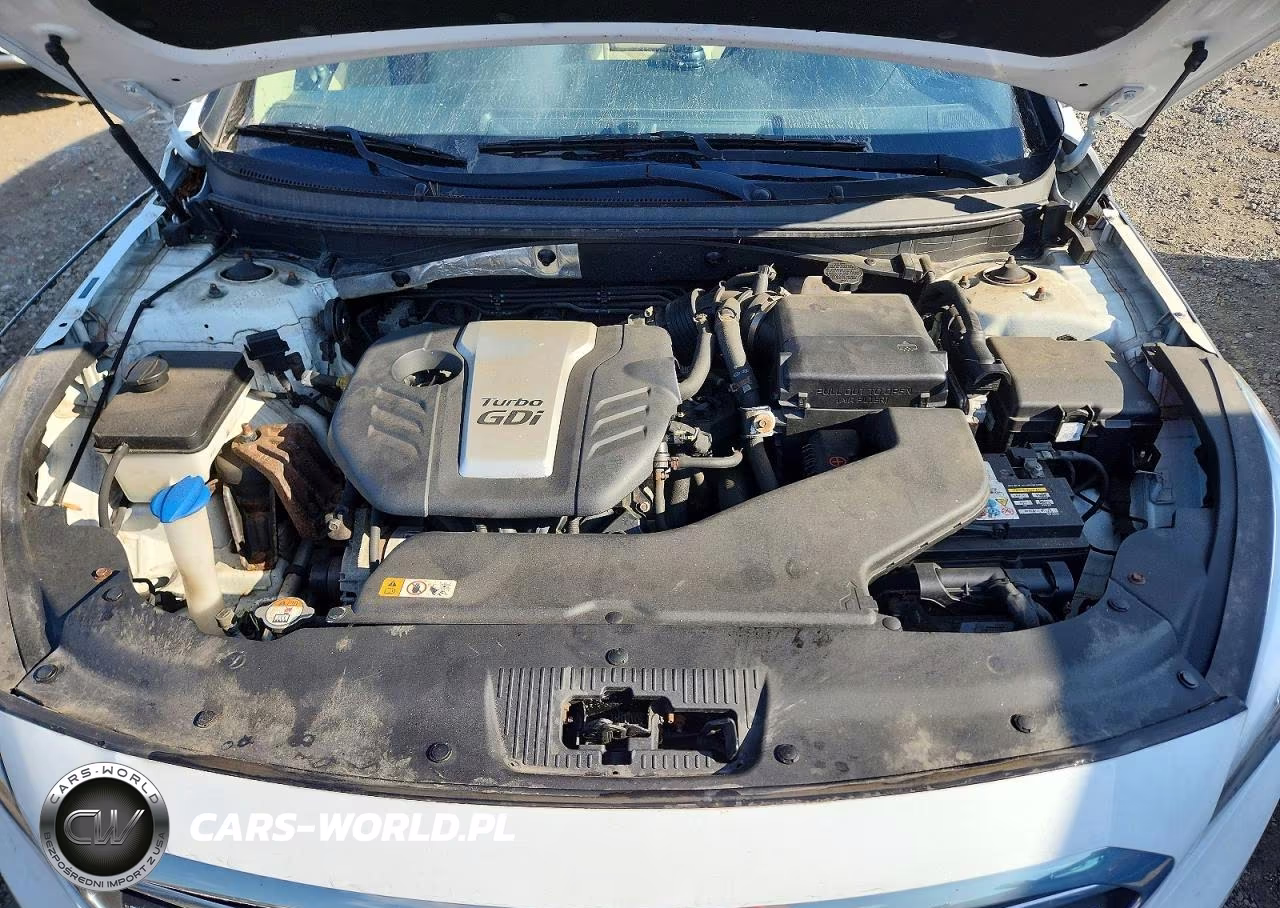 2016 Hyundai Sonata Eco VIN:5NPE24AA2GH419785 - 11