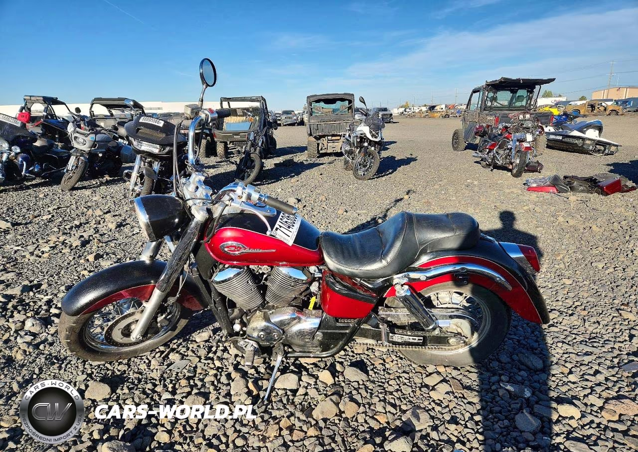 2003 Honda Vt750 Cdc VIN:JH2RC44693M700785 - 3