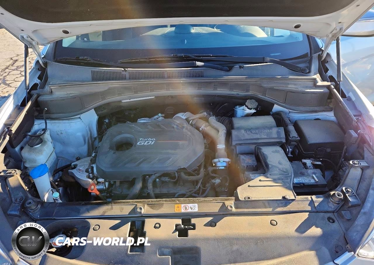 2018 Hyundai Santa Fe Sport 2.0T VIN:5XYZU4LA3JG563627 - 11