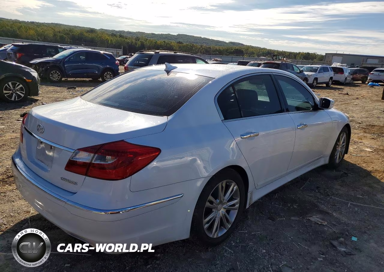 2014 Hyundai Genesis 3.8L VIN:KMHGC4DD5EU264658 - 3