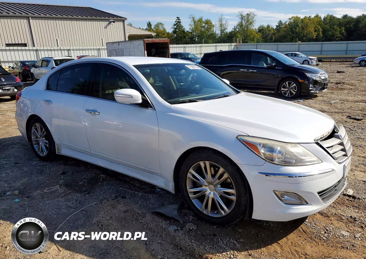 2014 Hyundai Genesis 3.8L VIN:KMHGC4DD5EU264658 - 4