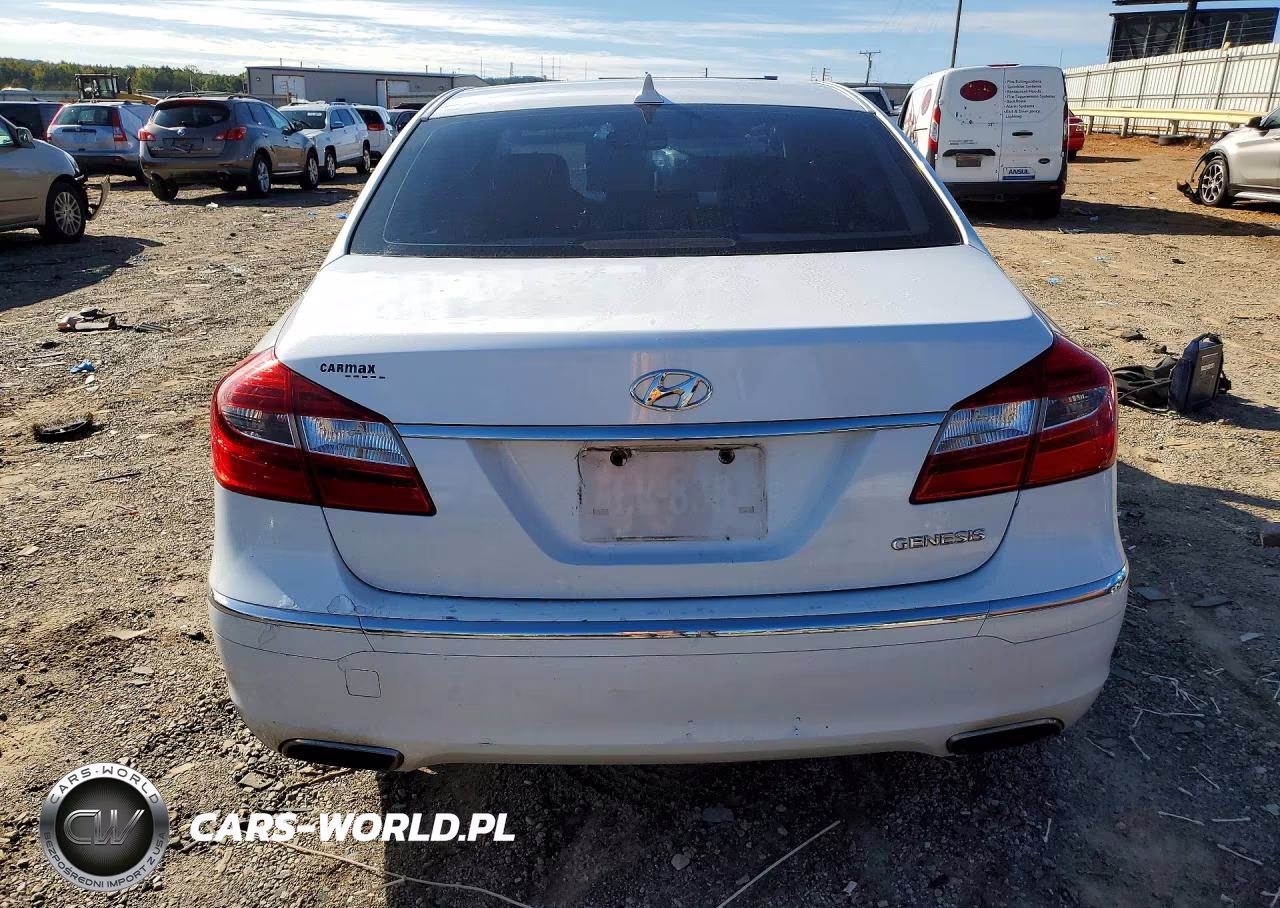 2014 Hyundai Genesis 3.8L VIN:KMHGC4DD5EU264658 - 6