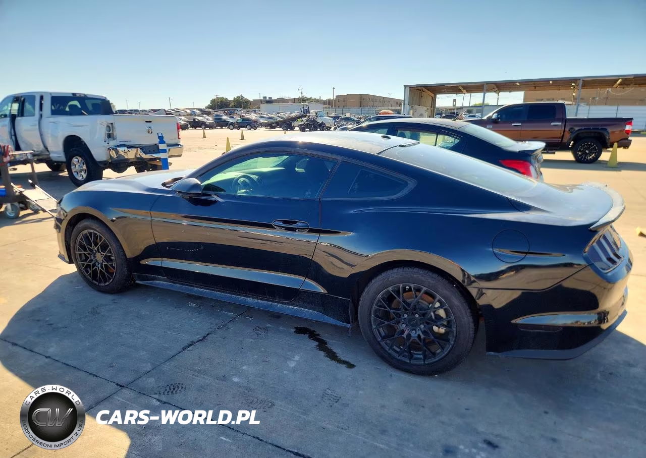 2019 Ford Mustang VIN:1FA6P8TH3K5122997 - 2
