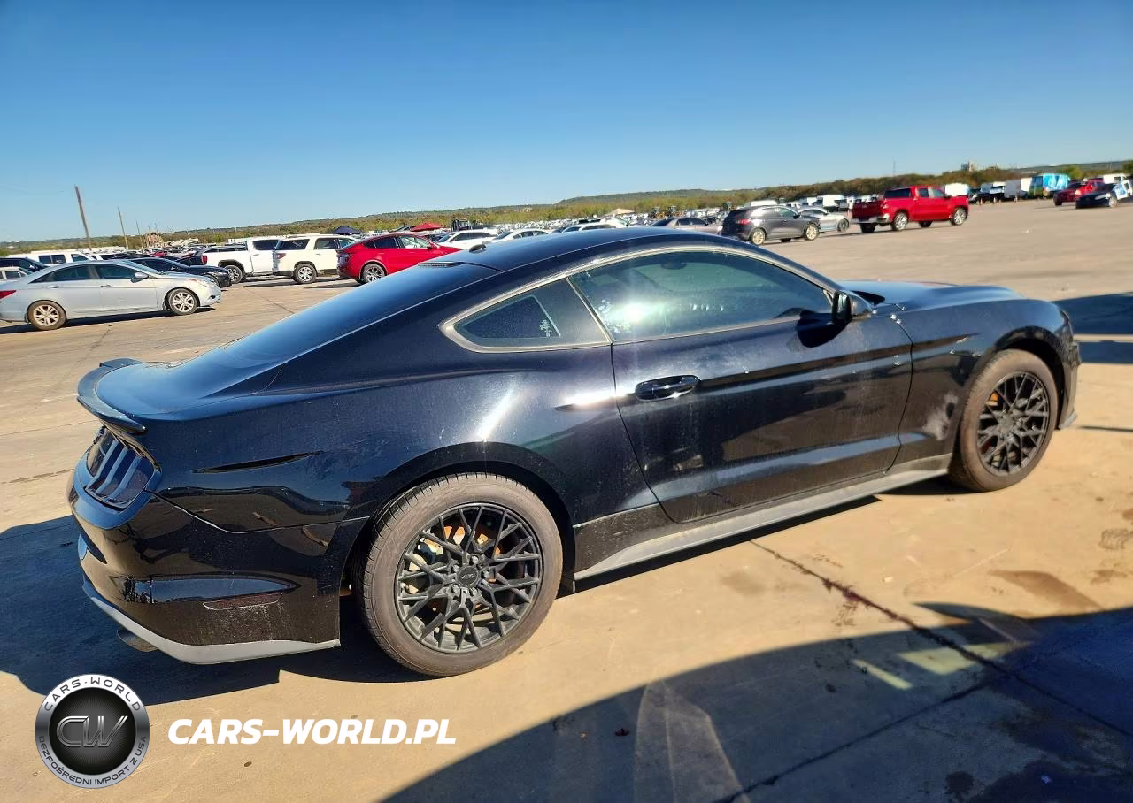 2019 Ford Mustang VIN:1FA6P8TH3K5122997 - 3