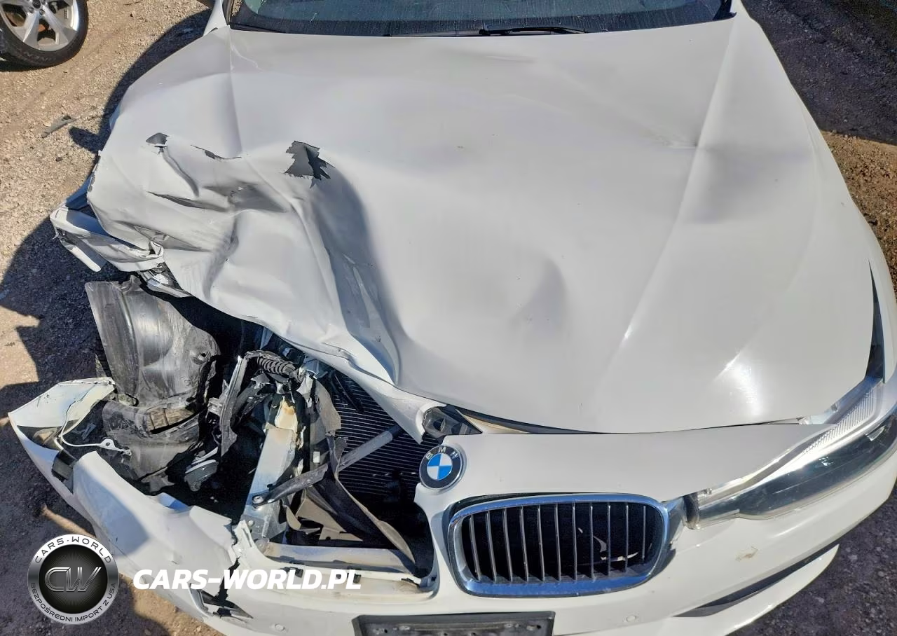 2017 BMW 320 Xi VIN:WBA8E5G53HNU41801 - 11