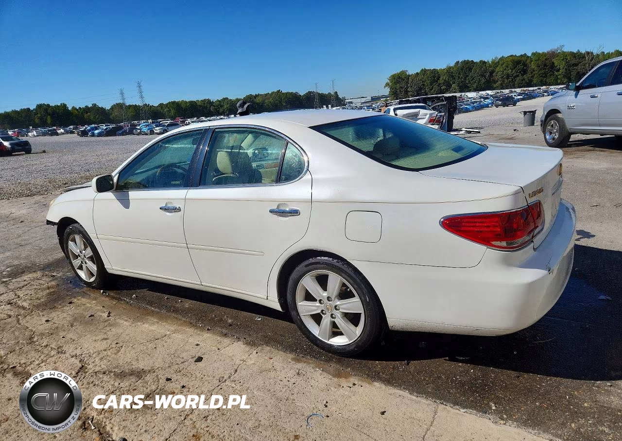 2005 Lexus Es 330 VIN:JTHBA30G955074420 - 2