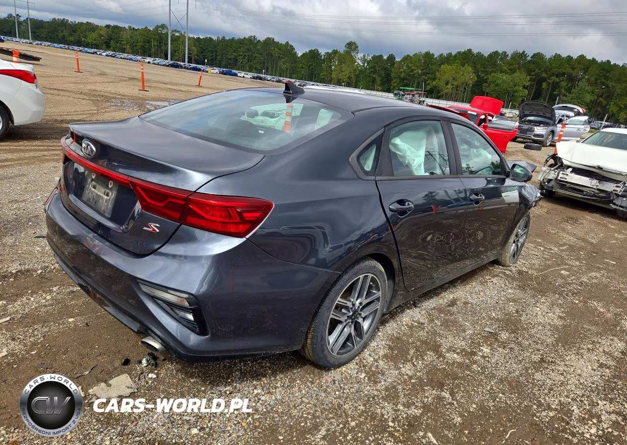 2019 Kia Forte S VIN:3KPF34ADXKE022365 - 3