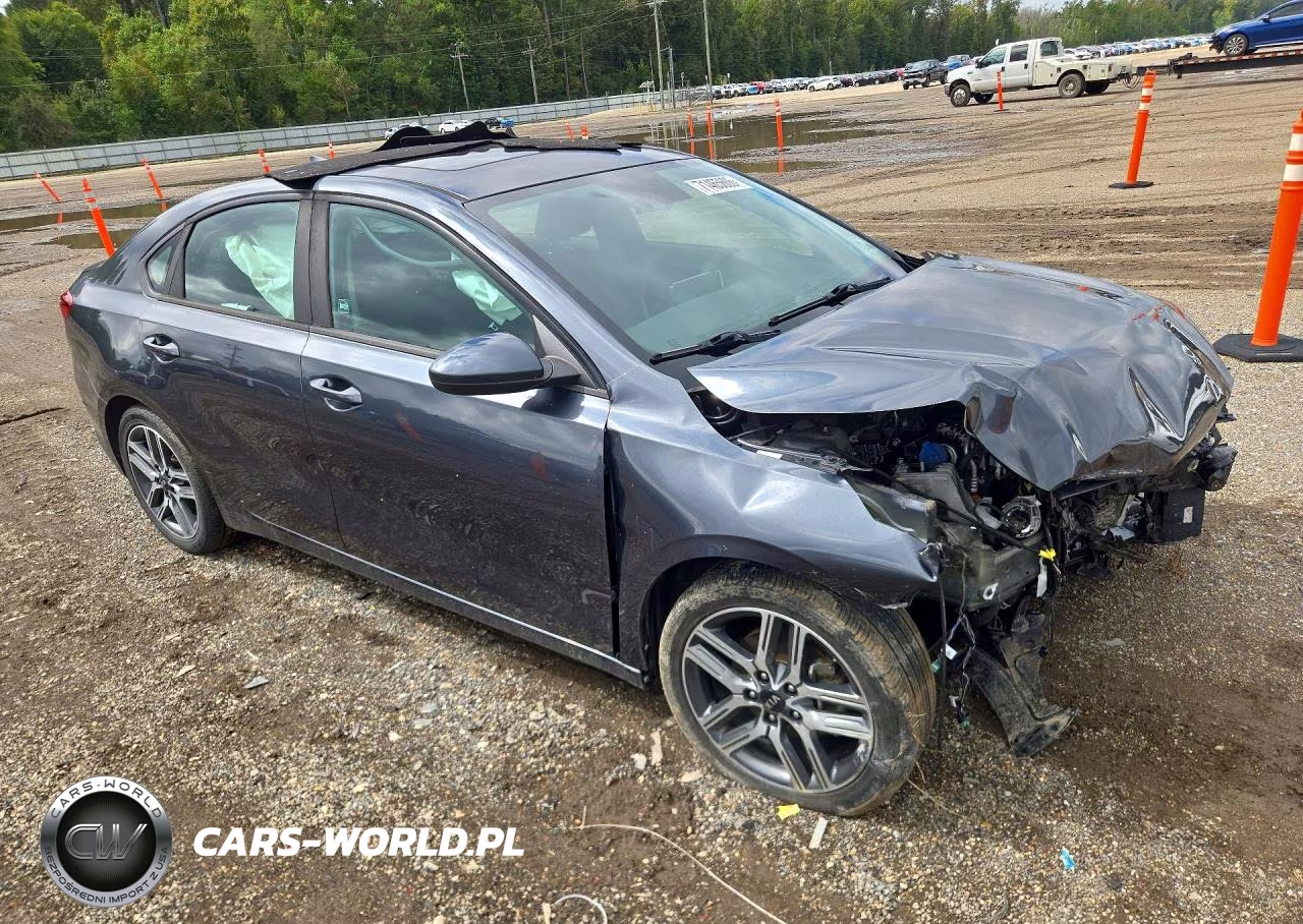 2019 Kia Forte S VIN:3KPF34ADXKE022365 - 4