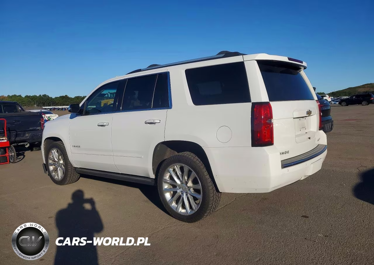 2019 Chevrolet Tahoe K1500 Premier VIN:1GNSKCKJ6KR211462 - 2