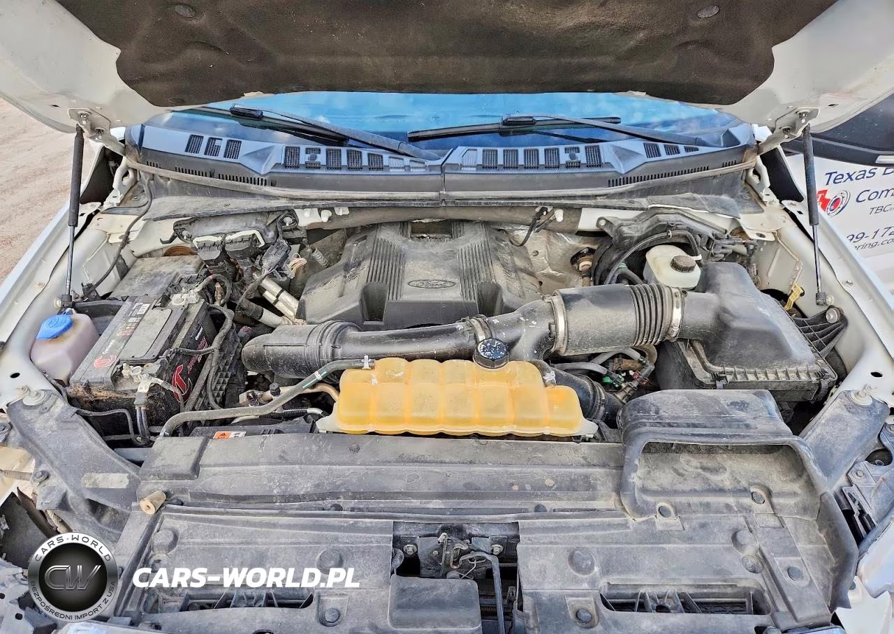 2017 Ford F150 Supercrew VIN:1FTEW1EG4HKD58492 - 11