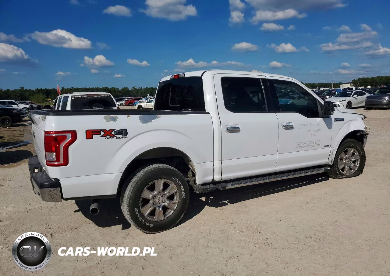 2017 Ford F150 Supercrew VIN:1FTEW1EG4HKD58492 - 3