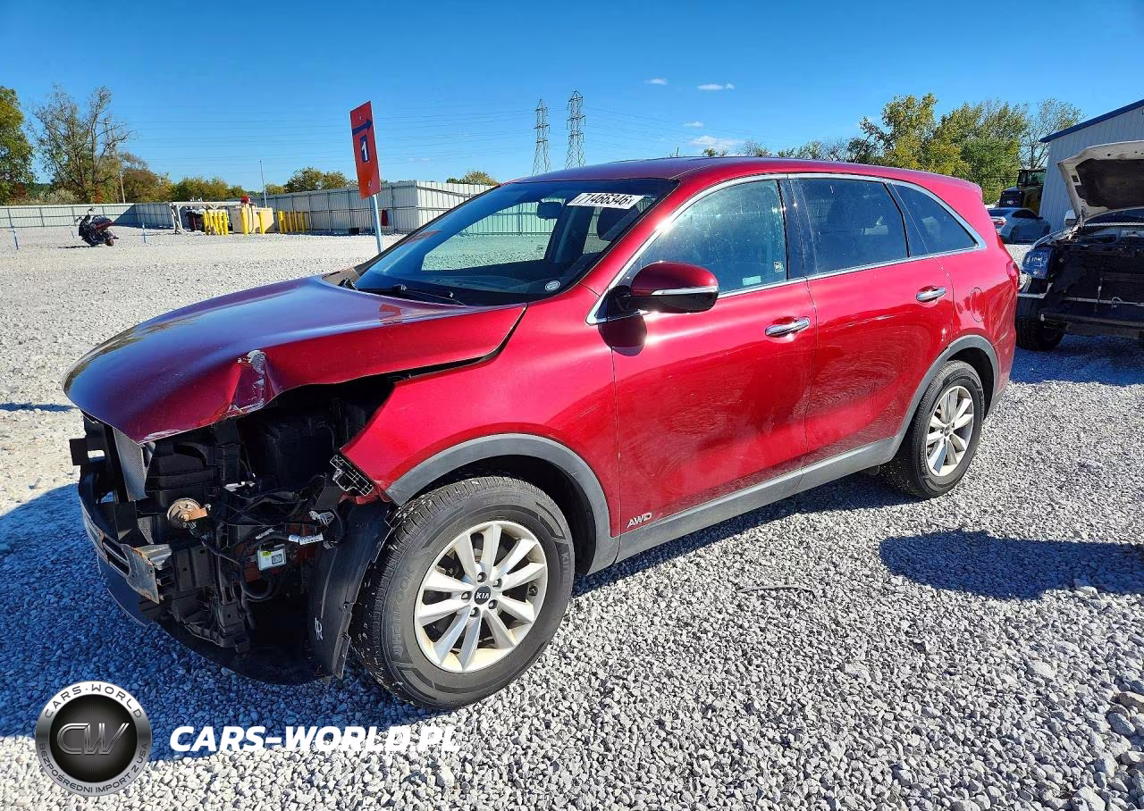 2019 Kia Sorento Lx VIN:5XYPGDA31KG557166 - 1