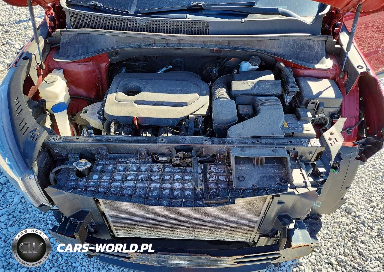 2019 Kia Sorento Lx VIN:5XYPGDA31KG557166 - 12