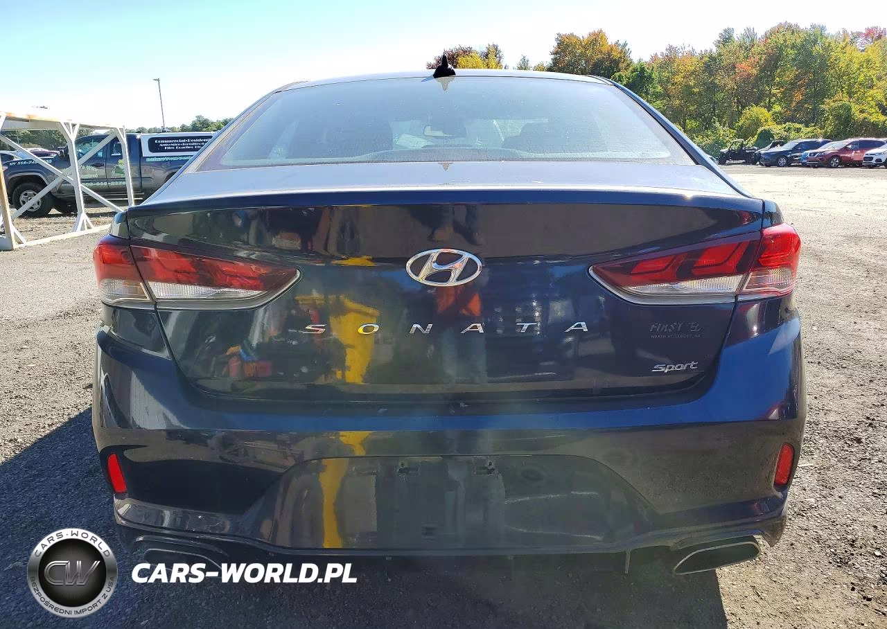 2018 Hyundai Sonata Sport VIN:5NPE34AF1JH627625 - 6