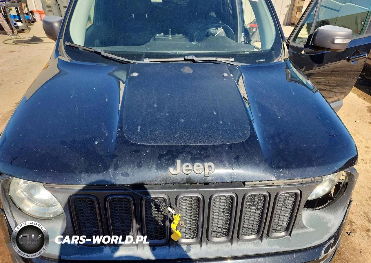 2016 Jeep Renegade Trailhawk VIN:ZACCJBCT1GPC95061 - 11