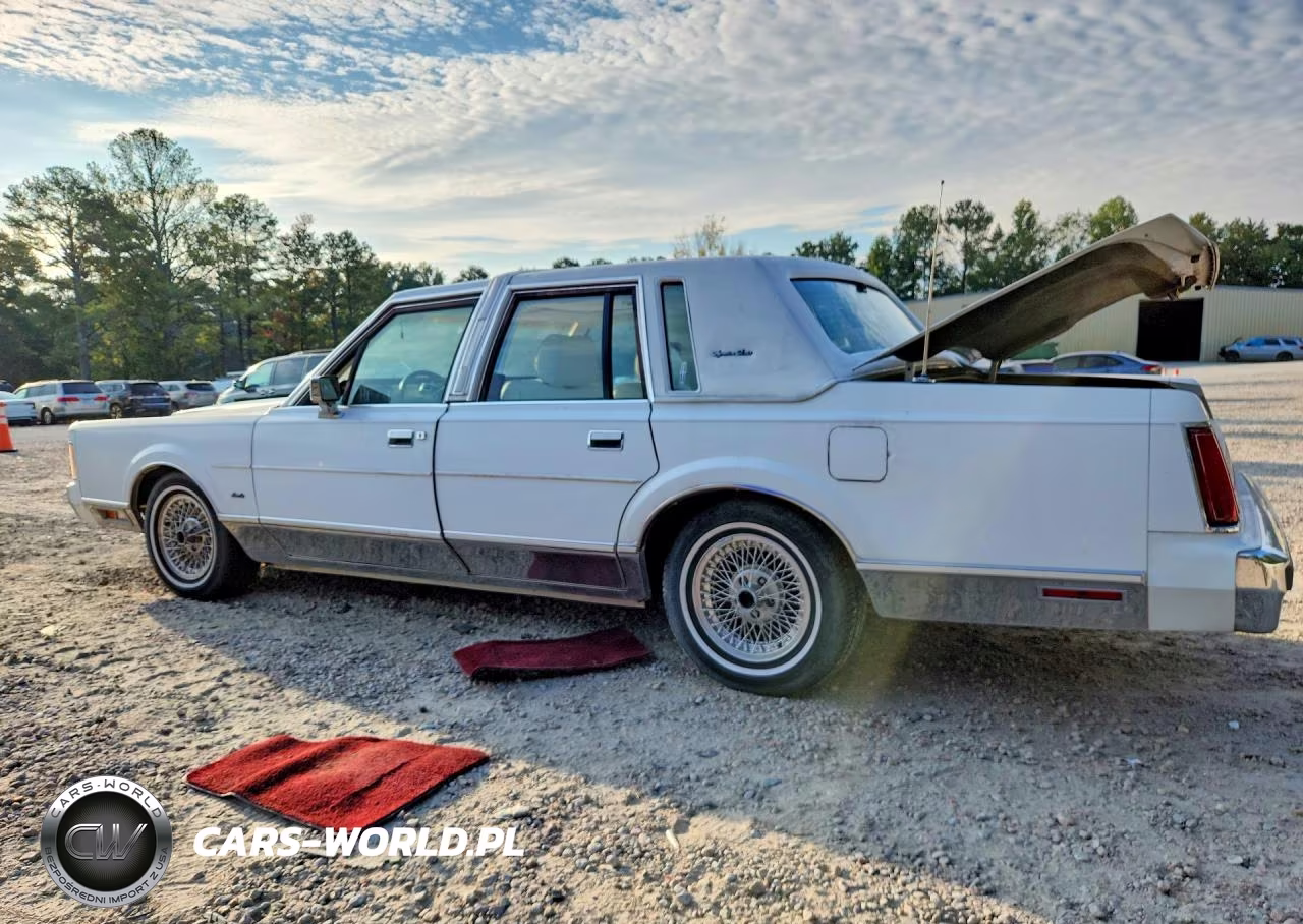 1989 Lincoln Town Car Signature VIN:1LNBM82F2KY806421 - 2