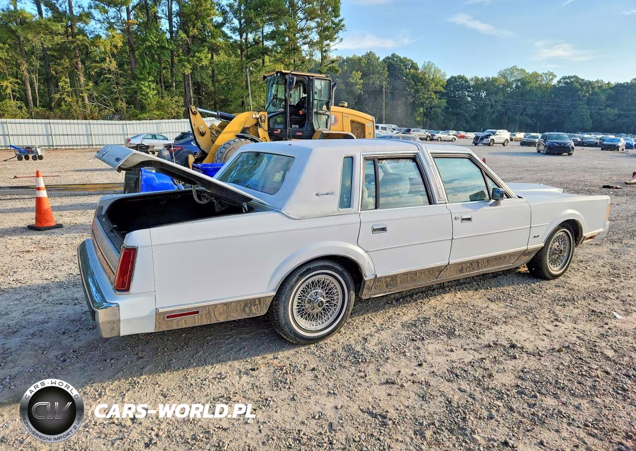 1989 Lincoln Town Car Signature VIN:1LNBM82F2KY806421 - 3