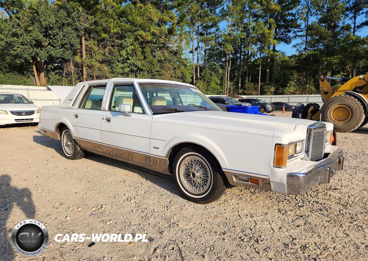 1989 Lincoln Town Car Signature VIN:1LNBM82F2KY806421 - 4
