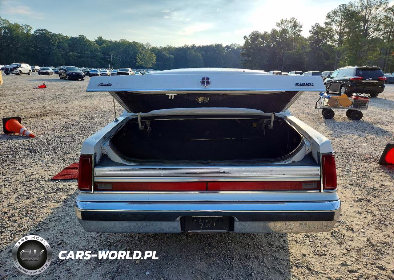 1989 Lincoln Town Car Signature VIN:1LNBM82F2KY806421 - 6