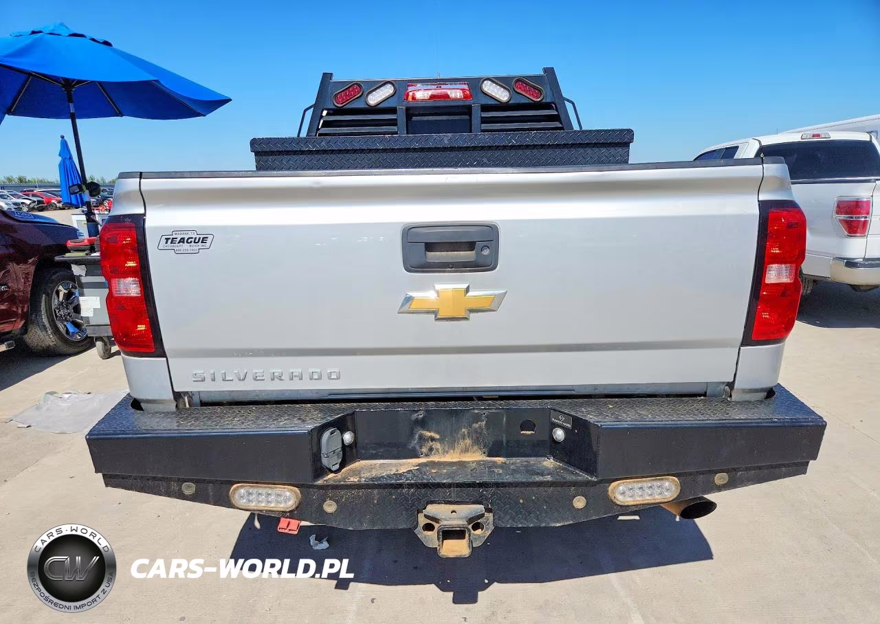 2019 Chevrolet Silverado K2500 Heavy Duty VIN:2GC2KREG3K1136949 - 6