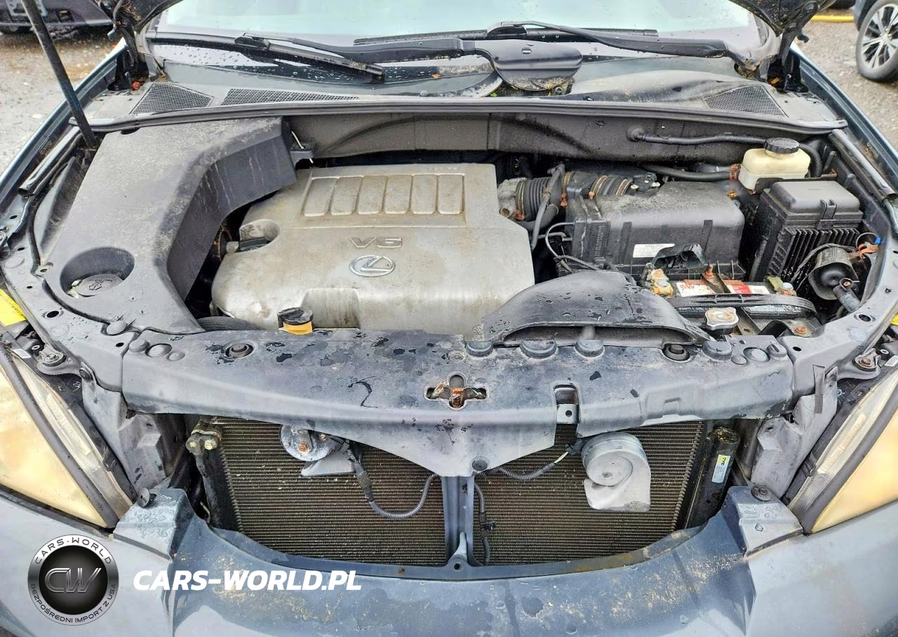 2007 Lexus Rx 350 VIN:2T2HK31U17C035450 - 12