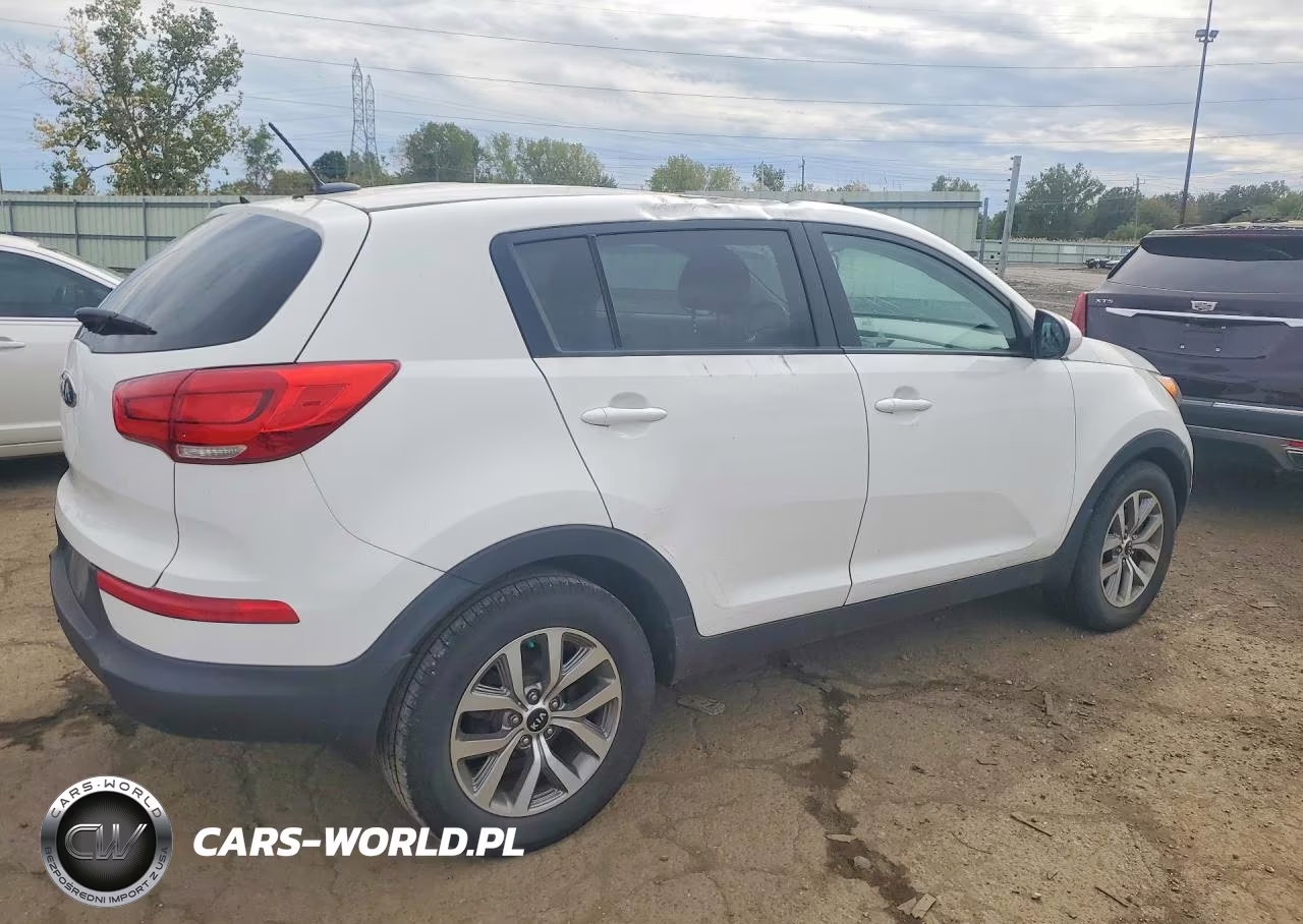 2016 Kia Sportage Lx VIN:KNDPB3AC3G7871446 - 3