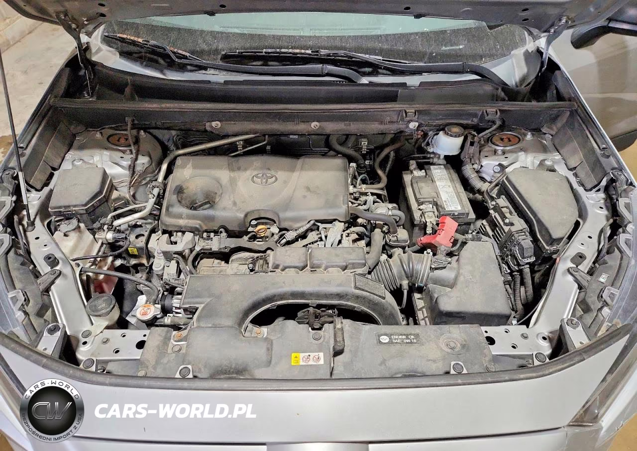 2019 Toyota Rav4 Le VIN:2T3H1RFV6KW035034 - 12