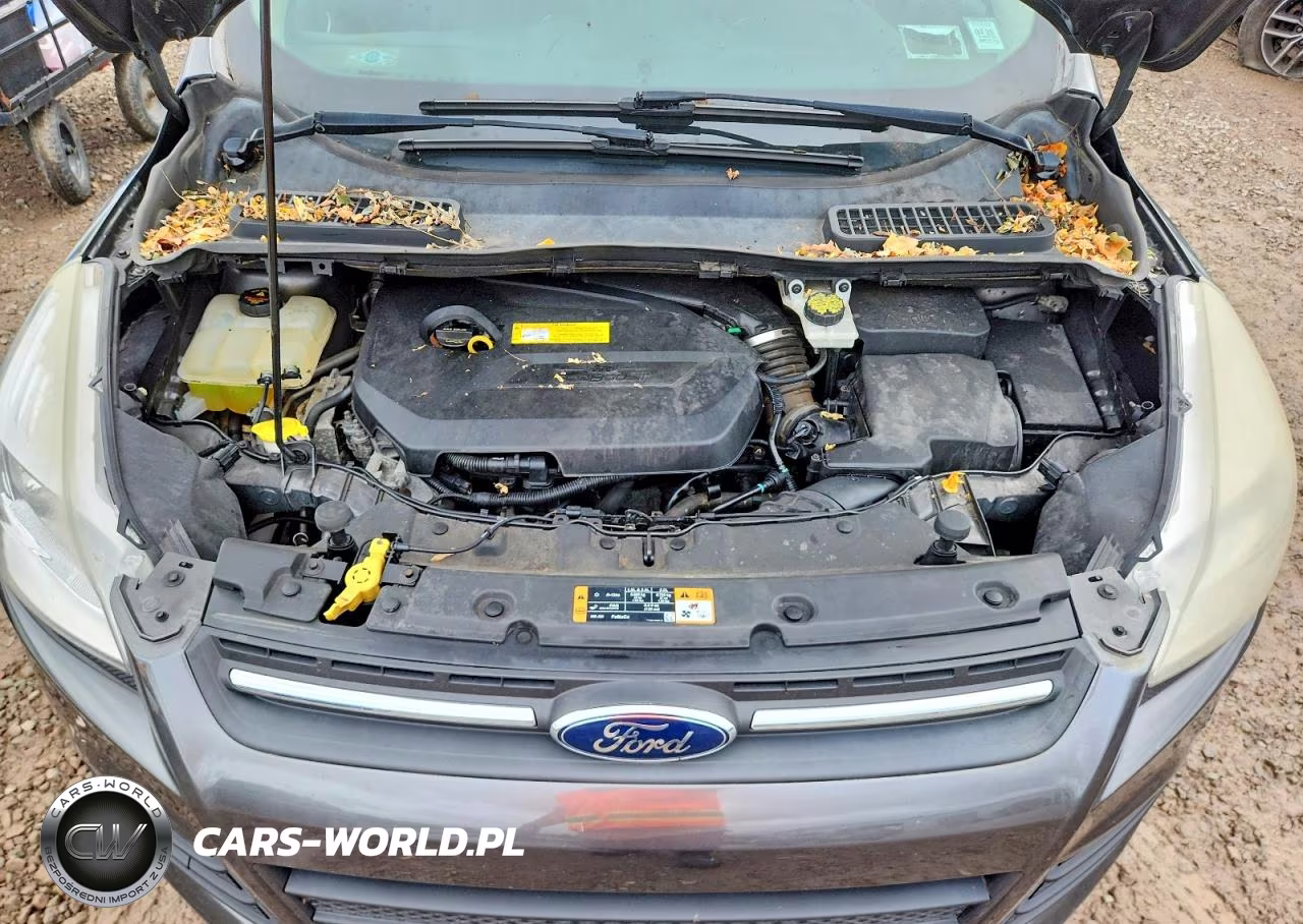 2015 Ford Escape Se VIN:1FMCU9GX9FUC39469 - 11