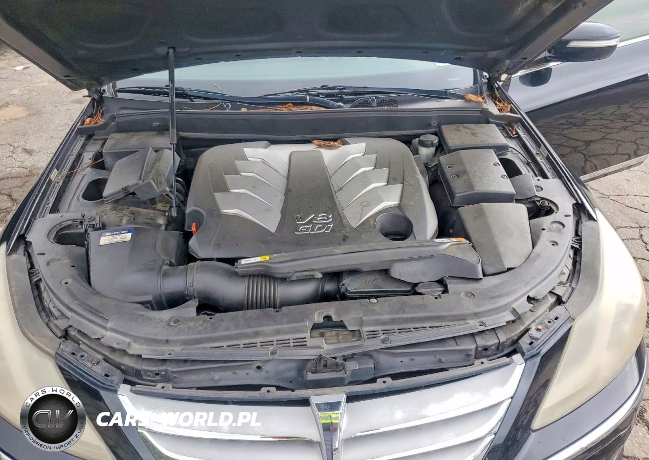 2013 Hyundai Genesis 5.0L VIN:KMHGC4DH9DU219241 - 11