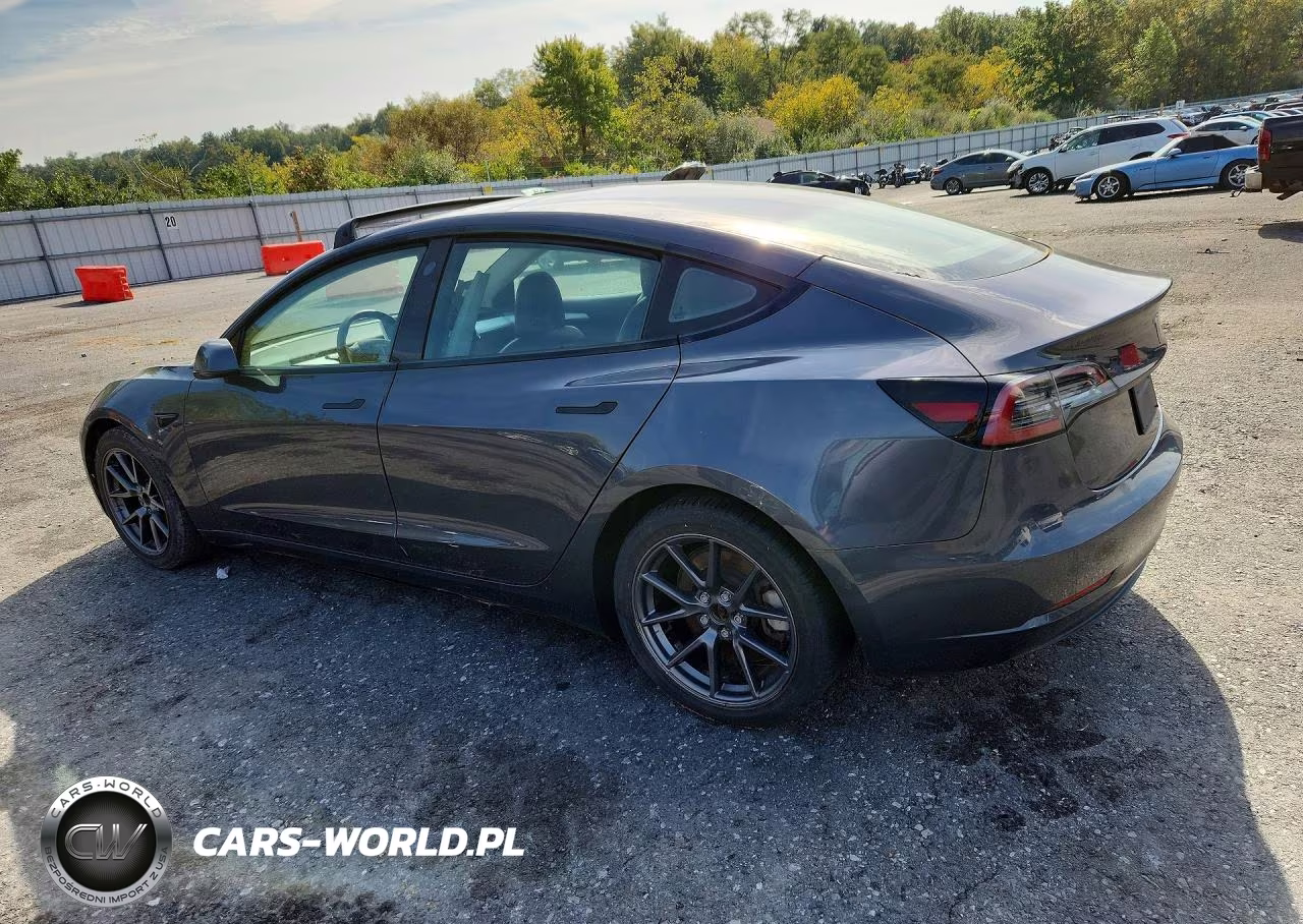 2021 Tesla Model 3 VIN:5YJ3E1EA1MF026815 - 2